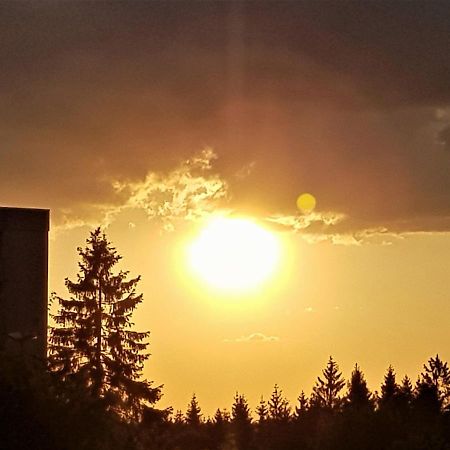 Grossdorf Appartement En Vogue Im Hahnenklee, Harz Goslar Zewnętrze zdjęcie