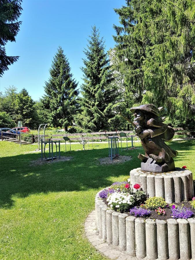 Grossdorf Appartement En Vogue Im Hahnenklee, Harz Goslar Zewnętrze zdjęcie